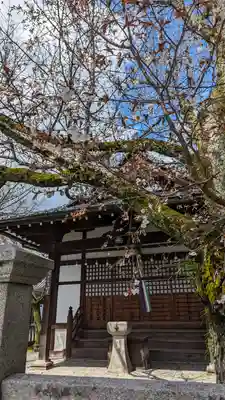 本満寺(本願満足寺)(京都府)