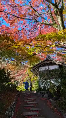 善峯寺(京都府)