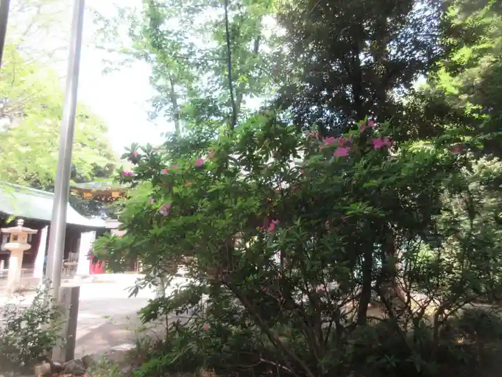 渋谷氷川神社(東京都)
