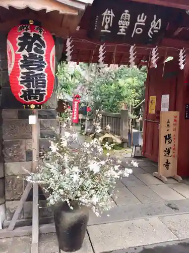 陽運寺の山門