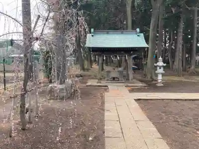 阿波州神社の手水舎