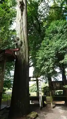 高森阿蘇神社のその他建物