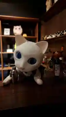 猫猫寺(京都府)