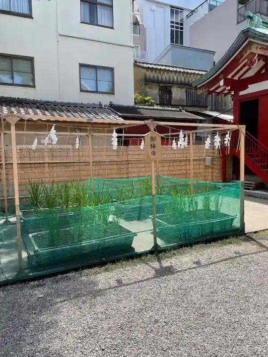 浅草神社の庭園