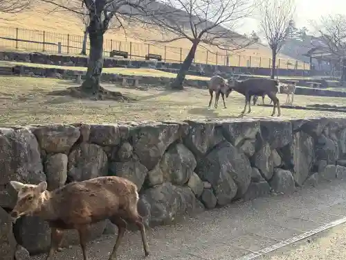 手向山八幡宮(奈良県)