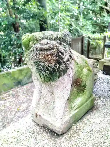 石立八幡宮の狛犬
