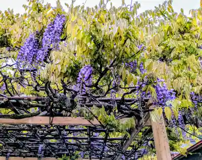 金蛇水神社(宮城県)