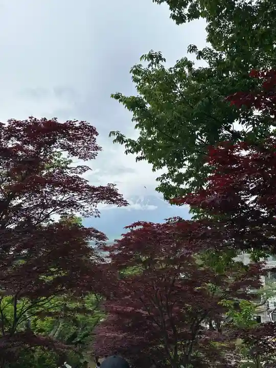 新倉富士浅間神社(山梨県)