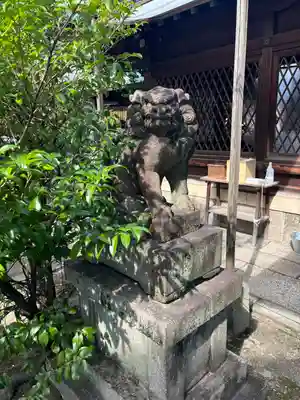 下御霊神社の狛犬