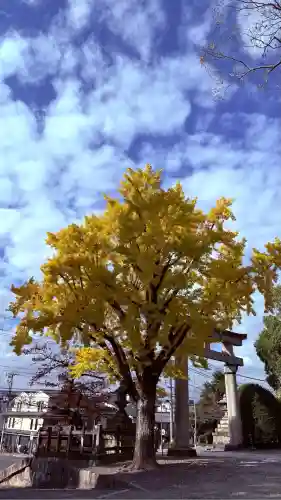 豊国神社(京都府)