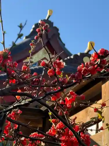 品川神社(東京都)