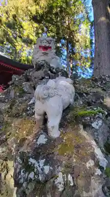 富士山東口本宮 冨士浅間神社の狛犬