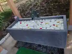 下野 星宮神社の手水