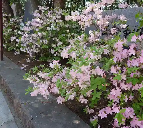 北見神社の庭園