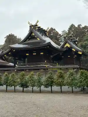 鷲宮神社の{uncategorized: "未分類", other: "その他", undefined: "問題あり", building: "その他建物", grave: "お墓", sacred_gate: "鳥居", guardian: "狛犬", statue: "像", buddha: "仏像", history: "歴史", nature: "自然", garden: "庭園", animal: "動物", pagoda: "塔", temizu: "手水舎", mountain_gate: "山門・神門", sanctuary: "本殿・本堂", subordinate: "末社・摂社", art: "芸術", scenery: "景色", jizo: "地蔵", ema: "絵馬", goshuin: "御朱印", omikuji: "おみくじ", items: "授与品その他", amulet: "お守り", goshuincho: "御朱印帳", eats: "食事", festival: "お祭り", votive_dance: "神楽", shichigosan: "七五三参", wedding: "結婚式", experience: "体験その他", initially: "初詣", around: "周辺", anti_infection: "感染症対策"}
