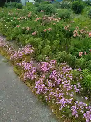 禅竜寺(宮城県)