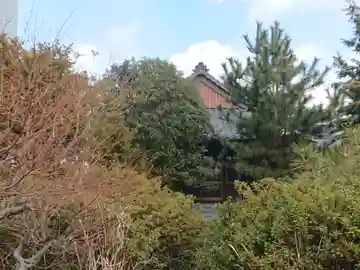 妙雲寺(三重県)