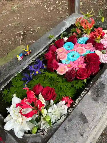 千代ケ岡八幡宮の{uncategorized: "未分類", other: "その他", undefined: "問題あり", building: "その他建物", grave: "お墓", sacred_gate: "鳥居", guardian: "狛犬", statue: "像", buddha: "仏像", history: "歴史", nature: "自然", garden: "庭園", animal: "動物", pagoda: "塔", temizu: "手水舎", mountain_gate: "山門・神門", sanctuary: "本殿・本堂", subordinate: "末社・摂社", art: "芸術", scenery: "景色", jizo: "地蔵", ema: "絵馬", goshuin: "御朱印", omikuji: "おみくじ", items: "授与品その他", amulet: "お守り", goshuincho: "御朱印帳", eats: "食事", festival: "お祭り", votive_dance: "神楽", shichigosan: "七五三参", wedding: "結婚式", experience: "体験その他", initially: "初詣", around: "周辺", anti_infection: "感染症対策"}
