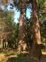 熊野大神(千葉県)