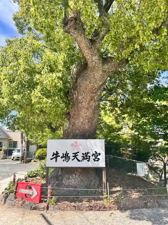 牛嶋天満宮の{uncategorized: "未分類", other: "その他", undefined: "問題あり", building: "その他建物", grave: "お墓", sacred_gate: "鳥居", guardian: "狛犬", statue: "像", buddha: "仏像", history: "歴史", nature: "自然", garden: "庭園", animal: "動物", pagoda: "塔", temizu: "手水舎", mountain_gate: "山門・神門", sanctuary: "本殿・本堂", subordinate: "末社・摂社", art: "芸術", scenery: "景色", jizo: "地蔵", ema: "絵馬", goshuin: "御朱印", omikuji: "おみくじ", items: "授与品その他", amulet: "お守り", goshuincho: "御朱印帳", eats: "食事", festival: "お祭り", votive_dance: "神楽", shichigosan: "七五三参", wedding: "結婚式", experience: "体験その他", initially: "初詣", around: "周辺", anti_infection: "感染症対策"}
