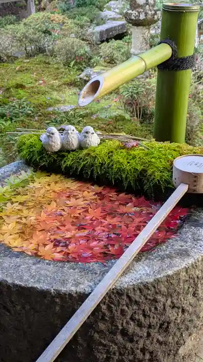 柳谷観音 楊谷寺(京都府)