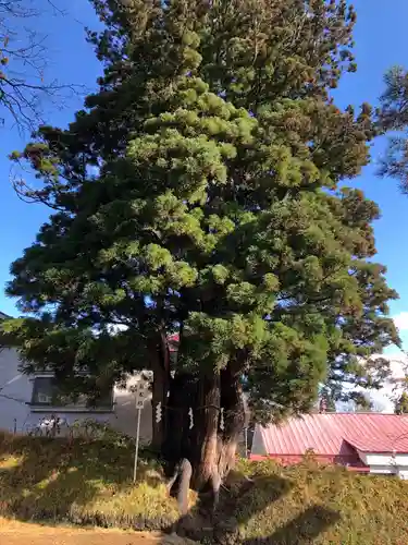 奥富士出雲神社(青森県)