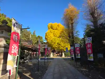 亀ケ池八幡宮(神奈川県)
