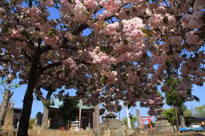 熊野福藏神社の庭園