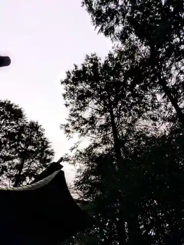 八幡神社のその他建物