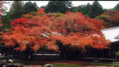 千如寺大悲王院の自然