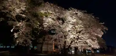 武田廣神社(山梨県)