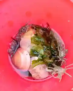 白狐山光星寺(山形県)(2023年08月05日(土) 21時02分08秒投稿)