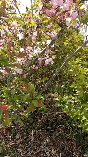 比佐豆知神社(三重県)