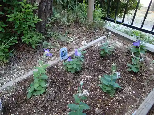 晴明神社（清明山）の自然