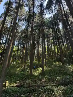 荒立神社(宮崎県)