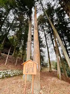 子檀嶺神社(長野県)