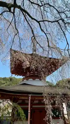 金剛寺のその他建物
