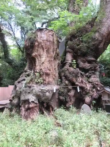 來宮神社のその他建物