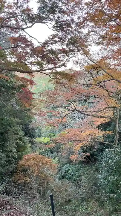 笠置寺(京都府)