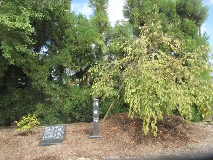 薬師寺(奈良県)