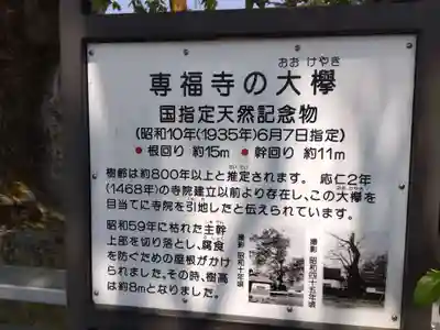 専福寺(福井県)