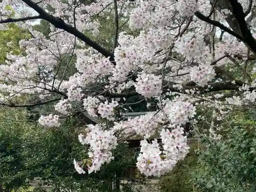 宗像神社の自然