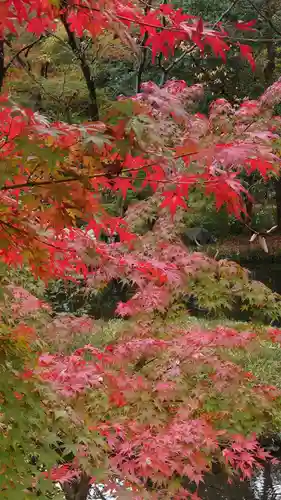 深大寺の庭園