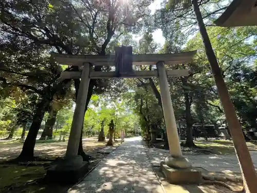 赤坂氷川神社の鳥居
