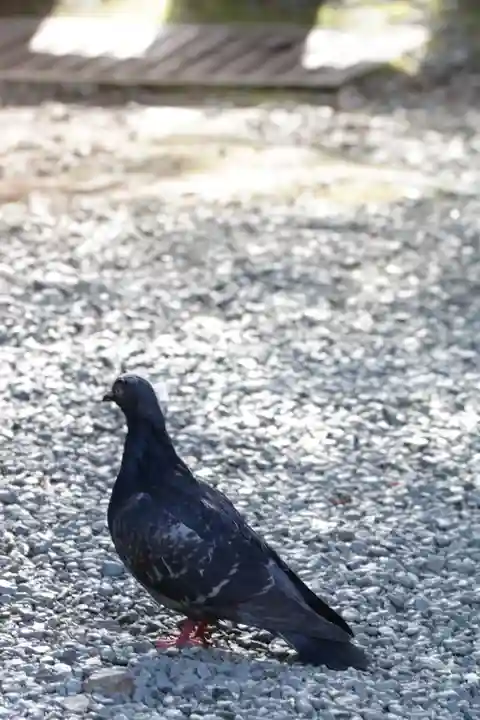 金王八幡宮(東京都)