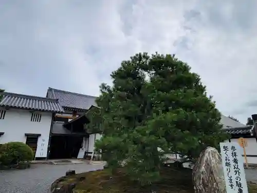 聖護院門跡のその他建物