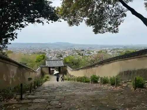 白毫寺の{uncategorized: "未分類", other: "その他", undefined: "問題あり", building: "その他建物", grave: "お墓", sacred_gate: "鳥居", guardian: "狛犬", statue: "像", buddha: "仏像", history: "歴史", nature: "自然", garden: "庭園", animal: "動物", pagoda: "塔", temizu: "手水舎", mountain_gate: "山門・神門", sanctuary: "本殿・本堂", subordinate: "末社・摂社", art: "芸術", scenery: "景色", jizo: "地蔵", ema: "絵馬", goshuin: "御朱印", omikuji: "おみくじ", items: "授与品その他", amulet: "お守り", goshuincho: "御朱印帳", eats: "食事", festival: "お祭り", votive_dance: "神楽", shichigosan: "七五三参", wedding: "結婚式", experience: "体験その他", initially: "初詣", around: "周辺", anti_infection: "感染症対策"}