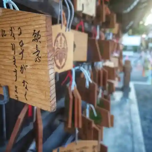 尾張大國霊神社（国府宮）の絵馬