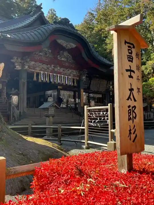 北口本宮冨士浅間神社(山梨県)