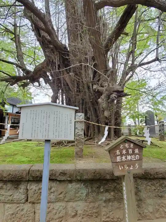 野木神社の自然